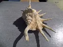 DSCN2686.webp