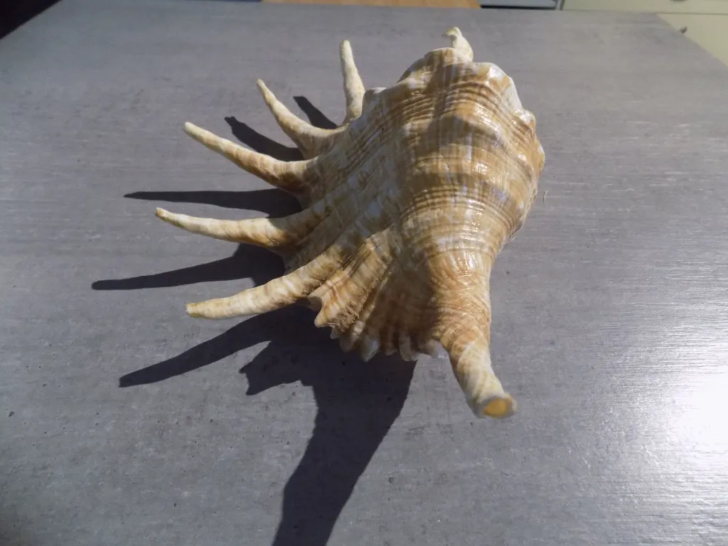 DSCN2687.webp