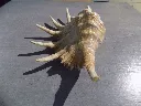 DSCN2687.webp