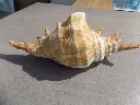 DSCN2690.webp