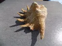 DSCN2691.webp