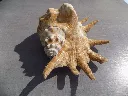 DSCN2692.webp