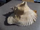 DSCN2695.webp