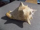 DSCN2697.webp
