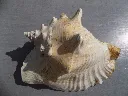 DSCN2699.webp