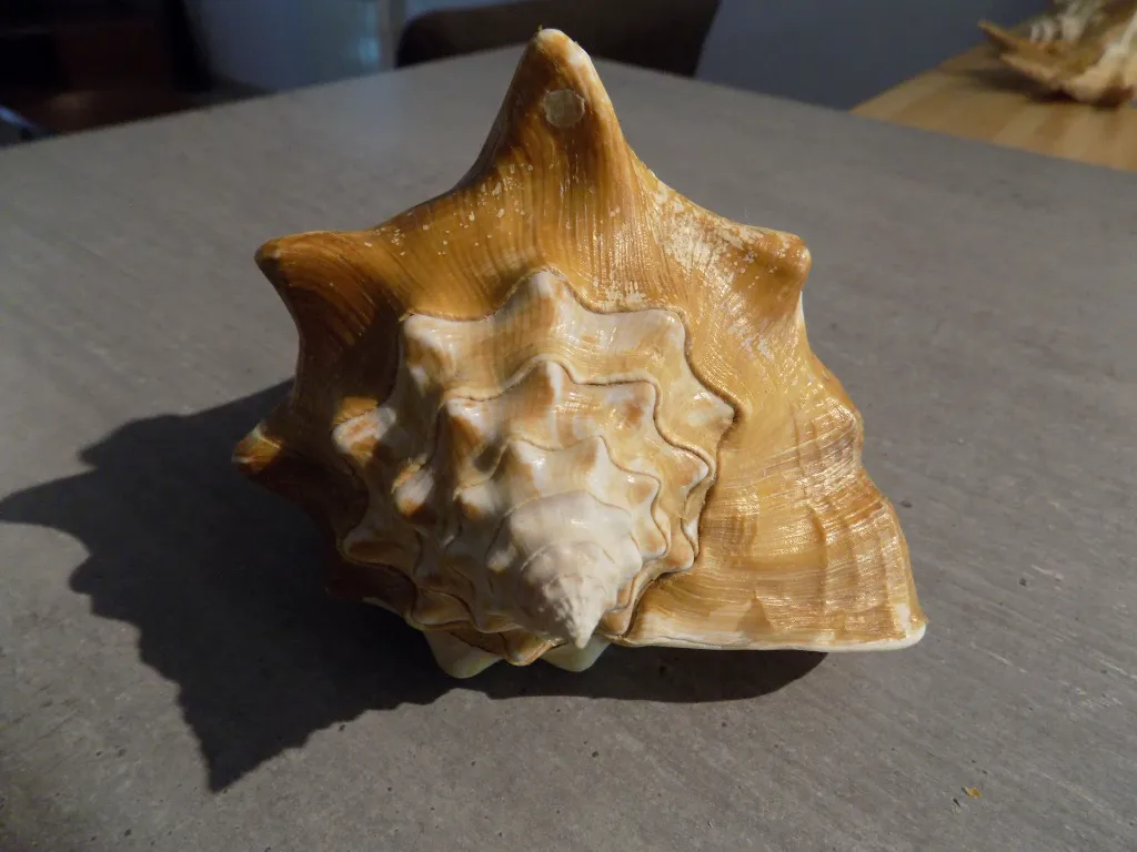 DSCN2702.webp