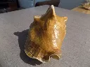 DSCN2704.webp