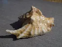 DSCN2707.webp