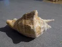 DSCN2708.webp