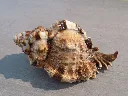 DSCN2711.webp