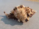 DSCN2713.webp