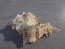 DSCN2719.webp