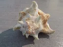 DSCN2720.webp