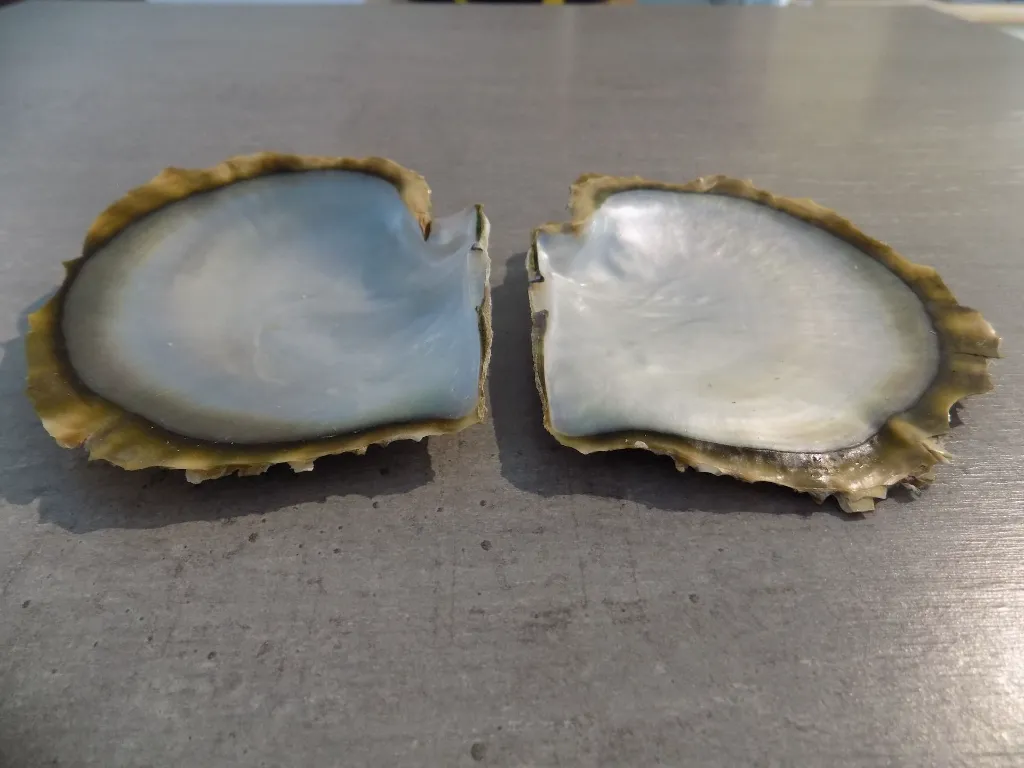 DSCN2747.webp