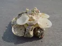 DSCN2729.webp