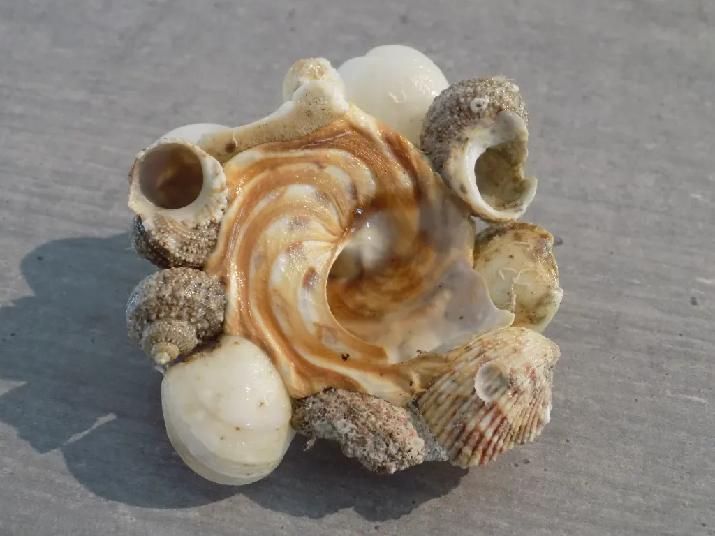 DSCN2731.webp