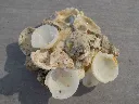 DSCN2732.webp