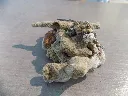 DSCN2734.webp