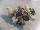 DSCN2735.webp