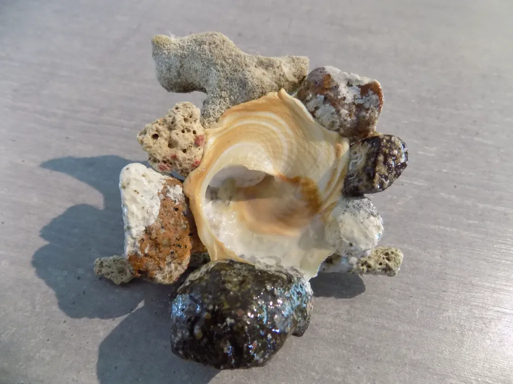 DSCN2736.webp