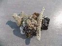 DSCN2737.webp