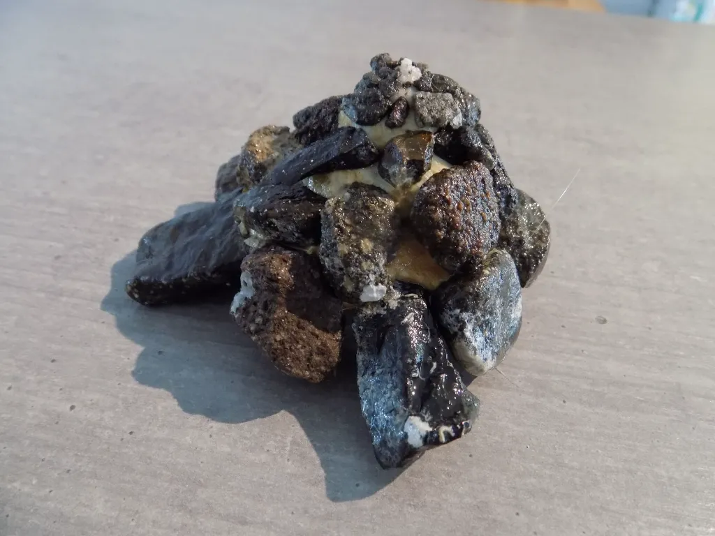 DSCN2739.webp