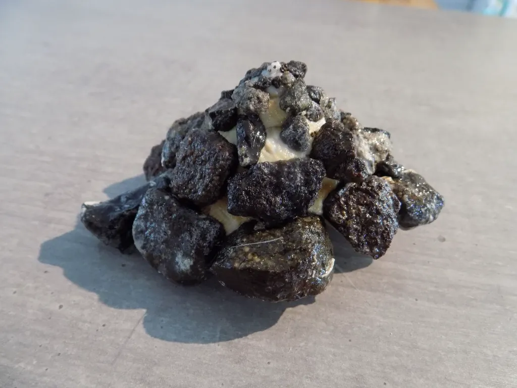 DSCN2740.webp