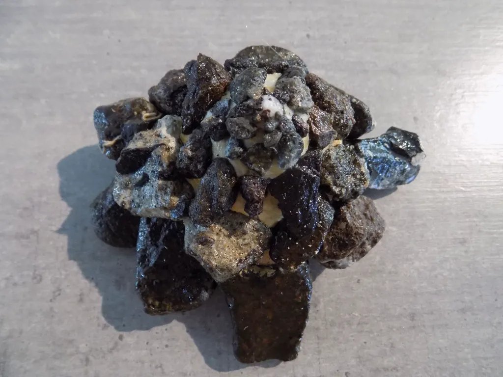 DSCN2742.webp