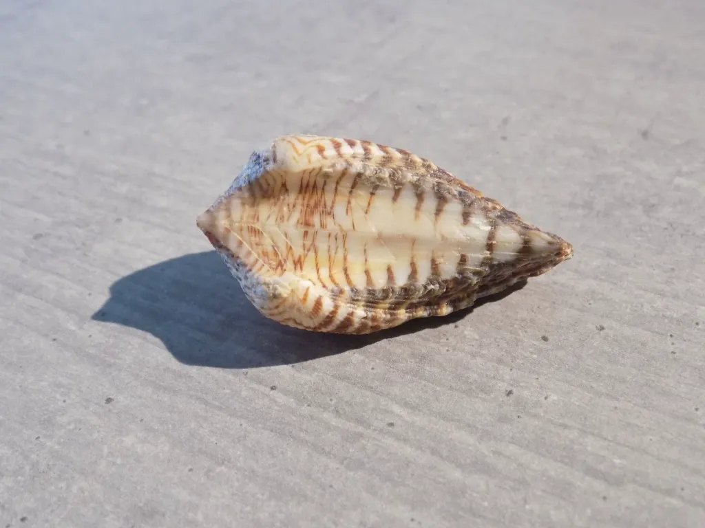 DSCN2749.webp