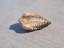 DSCN2749.webp