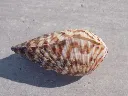 DSCN2753.webp