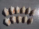 DSCN2757.webp