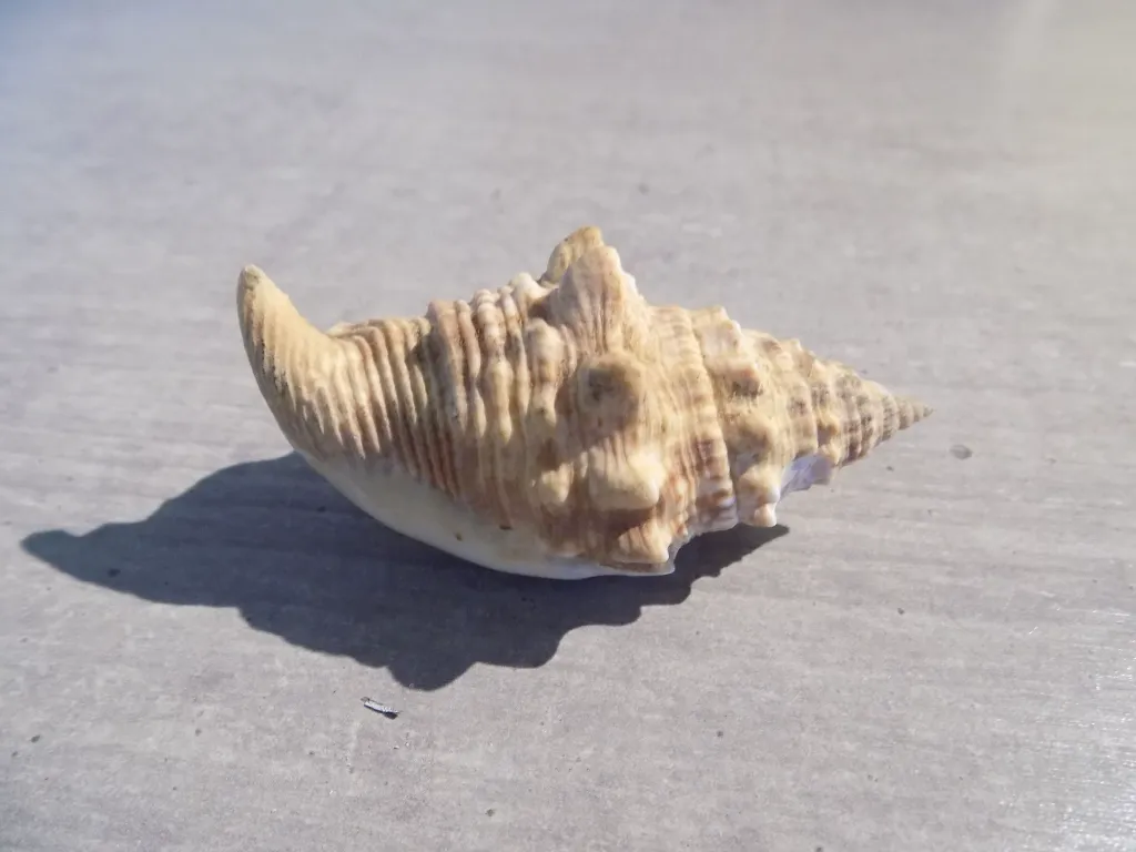 DSCN2760.webp