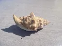DSCN2760.webp