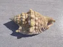 DSCN2762.webp