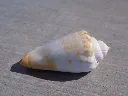 DSCN2764.webp