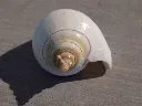 DSCN2770.webp