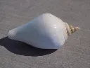 DSCN2771.webp