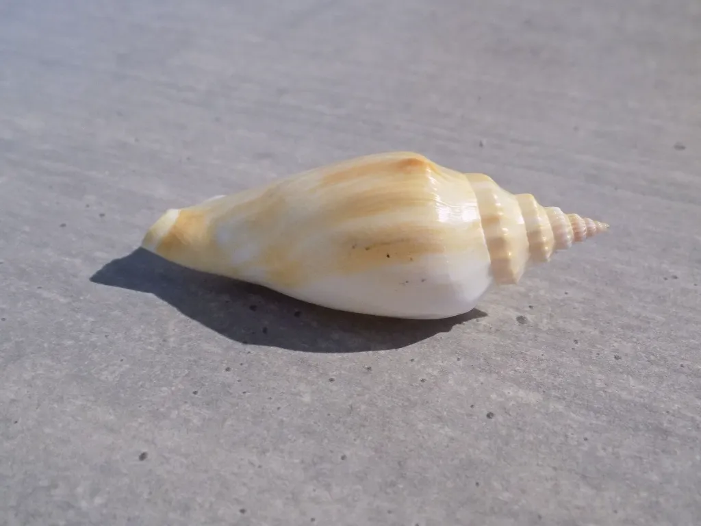 DSCN2777.webp