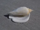 DSCN2778.webp