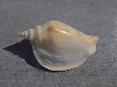 DSCN2780.webp