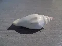 DSCN2782.webp