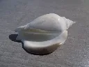 DSCN2783.webp