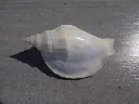 DSCN2784.webp