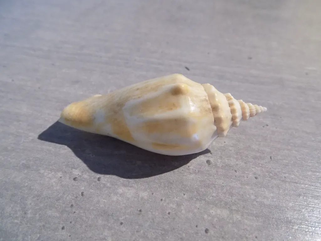 DSCN2786.webp