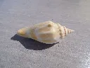 DSCN2786.webp