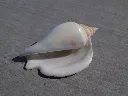 DSCN2787.webp
