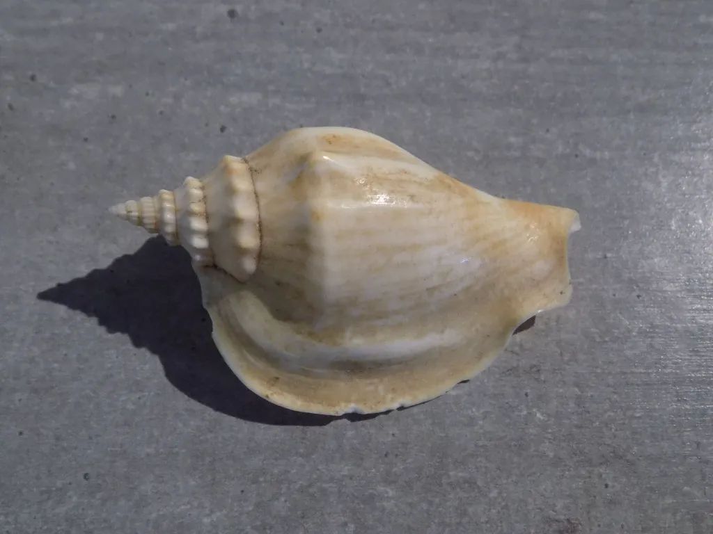 DSCN2788.webp