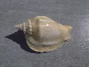 DSCN2788.webp