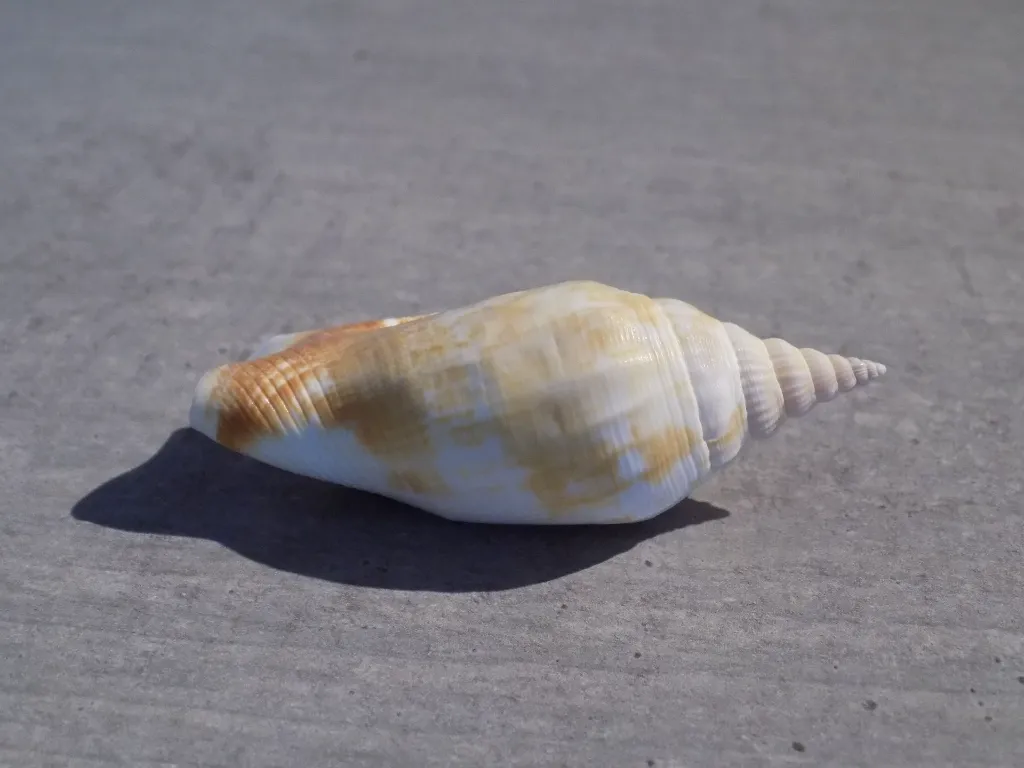 DSCN2792.webp